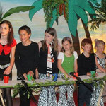 Presentatiemiddag 2013